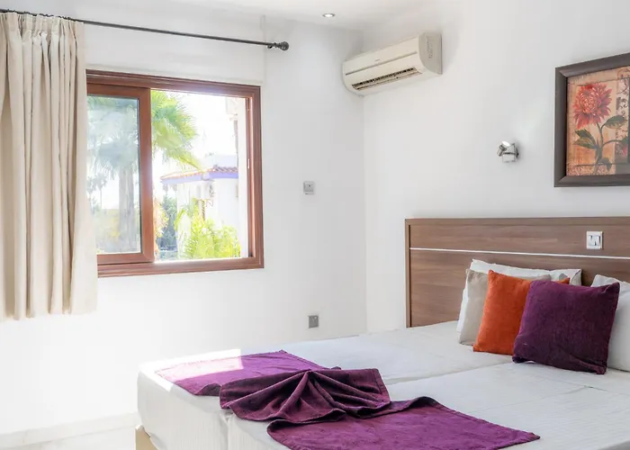 Amethyst Napa Annex *